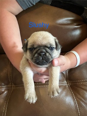 Slushy