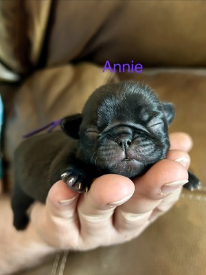 Annie